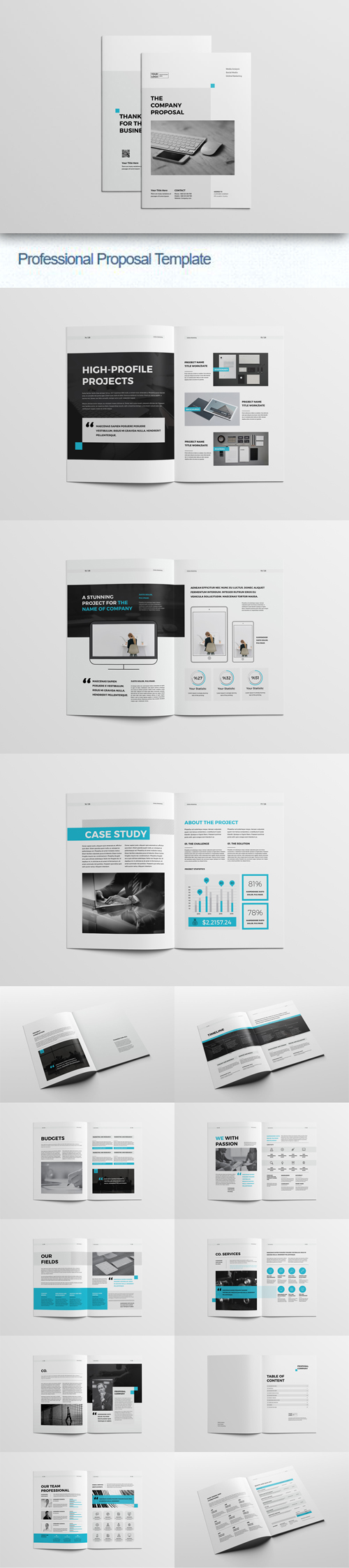 Professional Proposal Indesign [INDD/IDML] Template