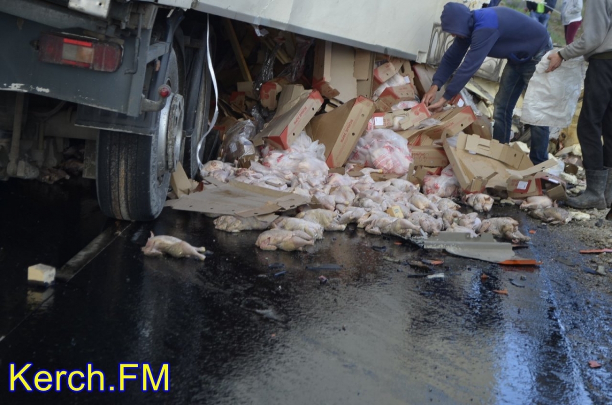 В Крыму водитель длинномера с курятиной уснул за рулем и врезался в стоящую фуру [фото]