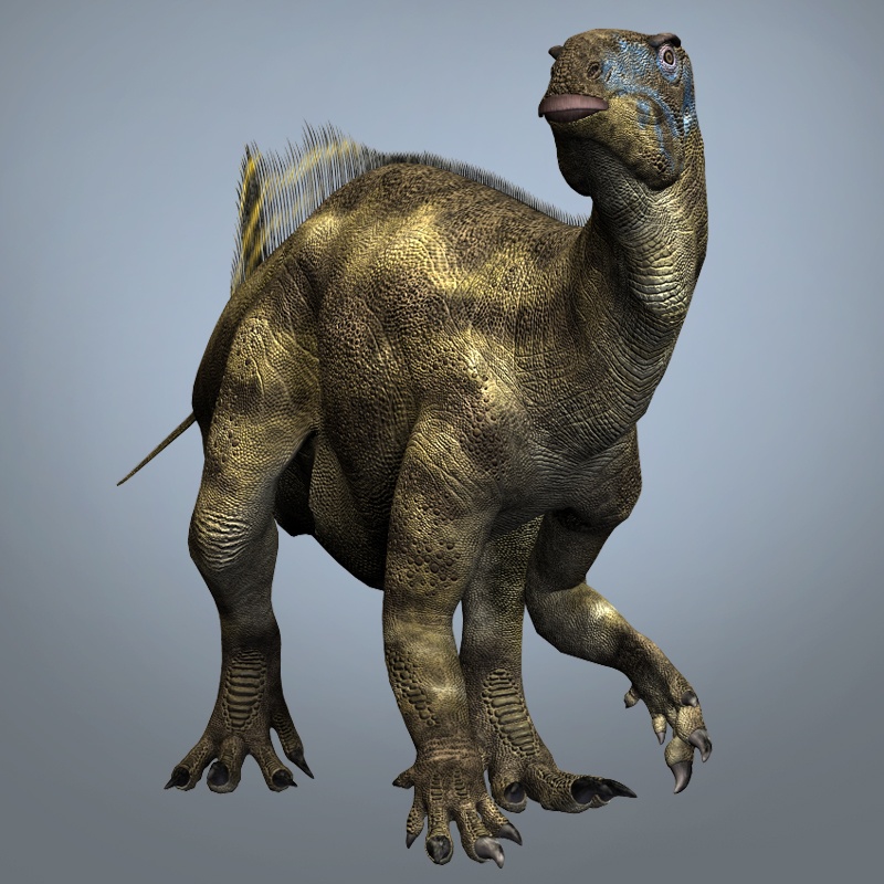 TenontosaurusDR
