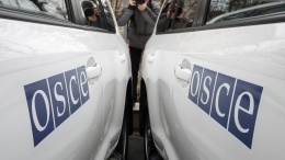 Делегация стран-участниц ОБСЕ побывает районы Донбасса вблизи линии разграничения