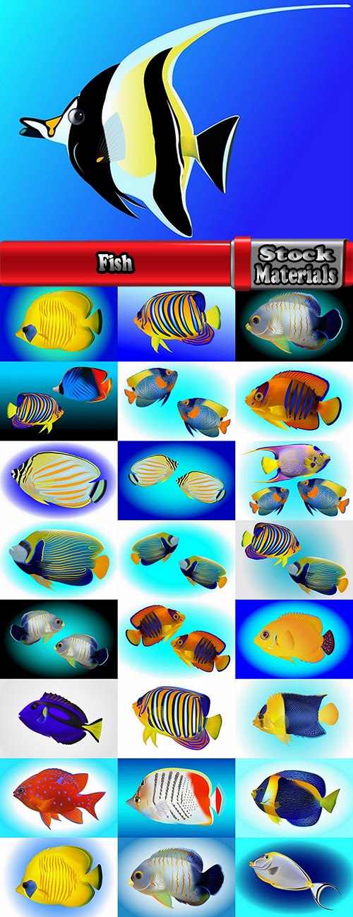 Fish sea animal multicolored skin leather fin 25 EPS