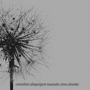 Controlled Collapse - Post-Traumatic Stress Disorder (2017)