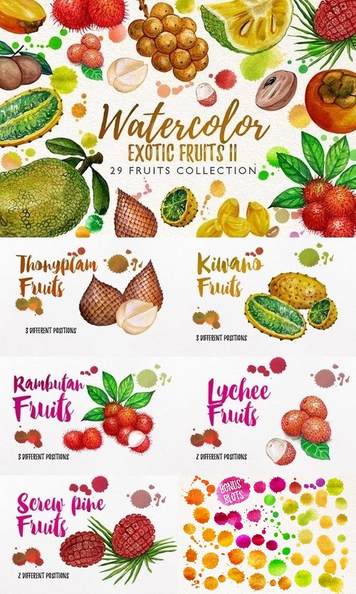 watercolor fruit vol.7 1043271