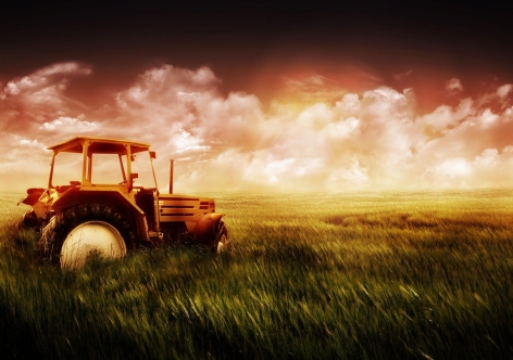 Косой крымчанин увяз в яме на угнанном тракторе [фото]