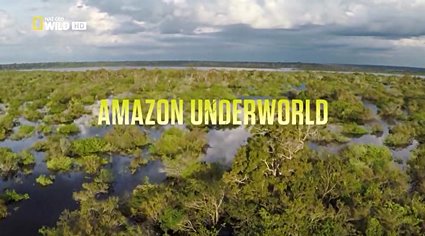  Скрытый мир Амазонки (2016) HDTVRip   