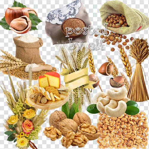  Зерно и злаки, орехи и желуди на прозрачном фоне в PNG