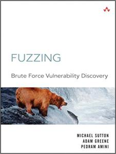 Fuzzing Brute Force Vulnerability Discovery