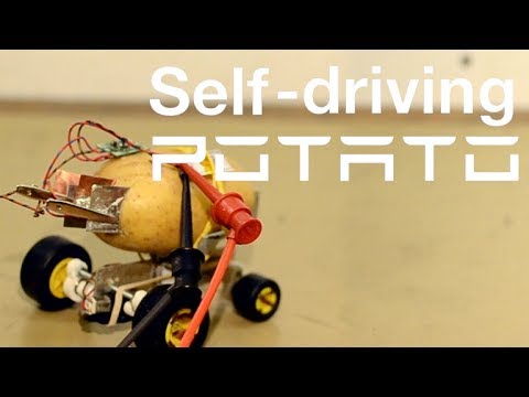 #видео | Обитатель Польши возвестил самоуправляемого робота из картофелины