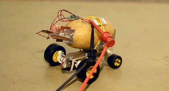 #видео | Обитатель Польши возвестил самоуправляемого робота из картофелины