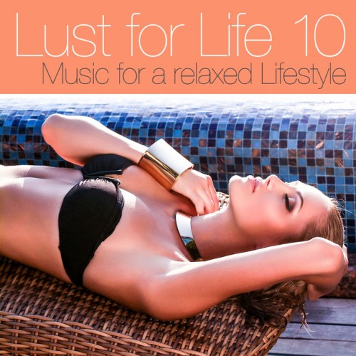 VA - Lust for Life Vol.10 Music For A Relaxed Lifestyle (2017)