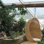 Разводим «сады семирамиды» под окном