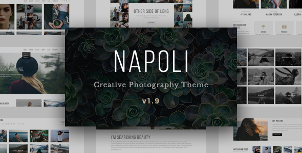 Nulled ThemeForest - Napoli v1.9.8 - Modern Photography Portfolio Theme