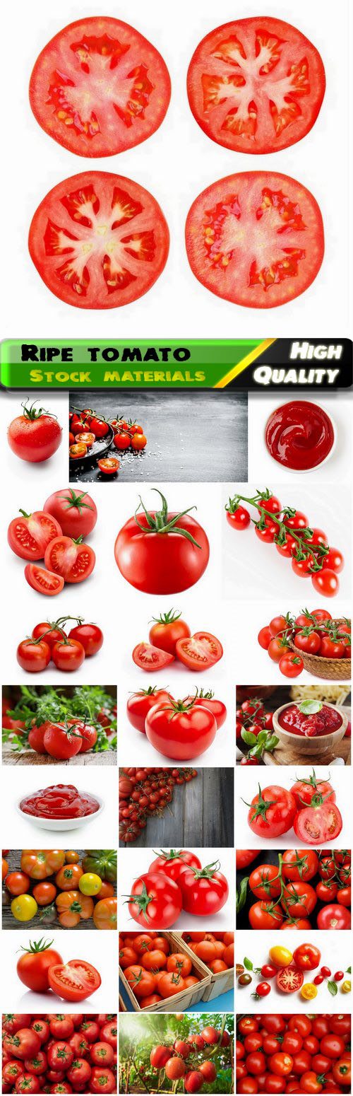 Vegetable tomato a kind of the genus Paslen 25 HQ Jpg