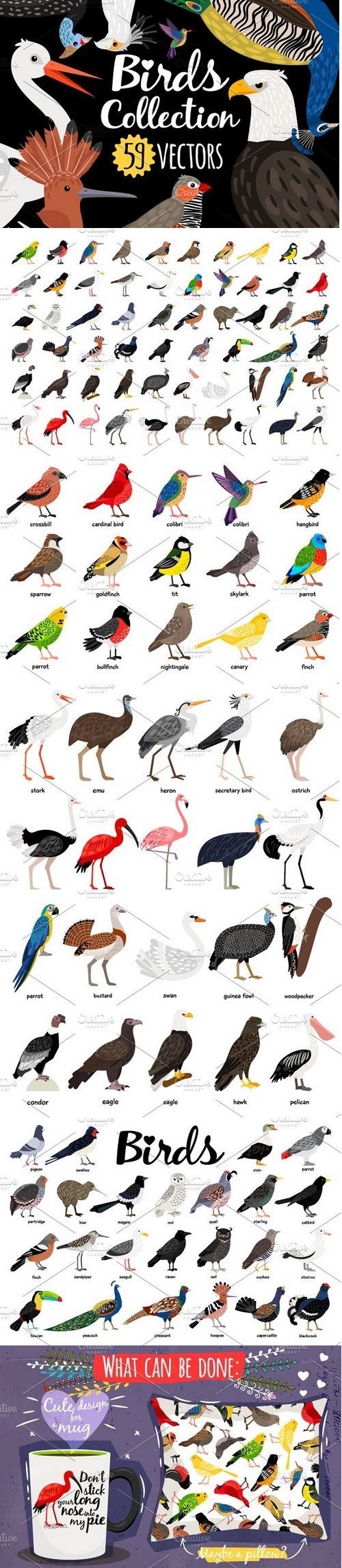 Big set of Different Birds 1326689