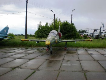 L-39 Albatros Walk Around