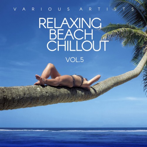 VA - Relaxing Beach Chillout Vol.5 (2017)