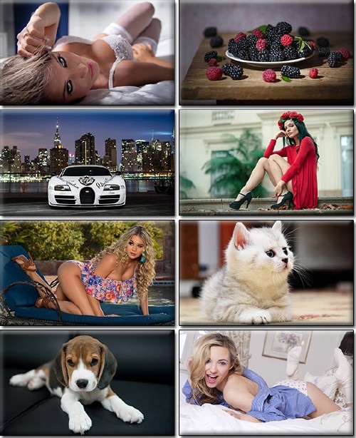 LIFEstyle News MiXture Images. Wallpapers Part (1267)