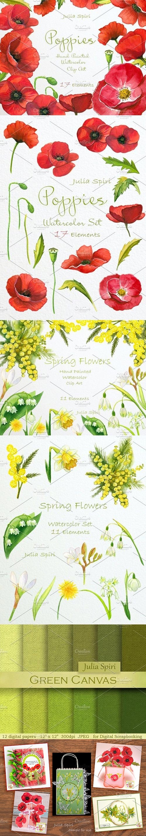 Poppies & Spring Flowers. Watercolor 780415