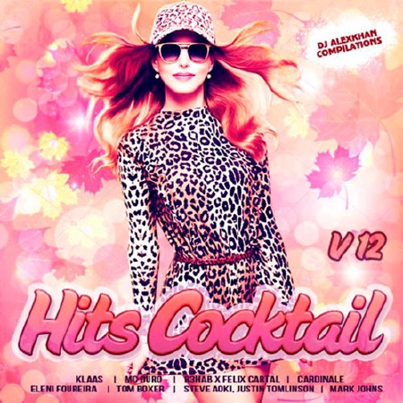 Hits Cocktail Vol.12 (2017)