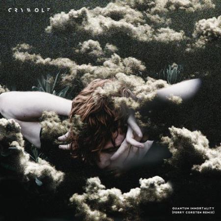 Crywolf - Quantum Immortality (Ferry Corsten Remix) (2017)