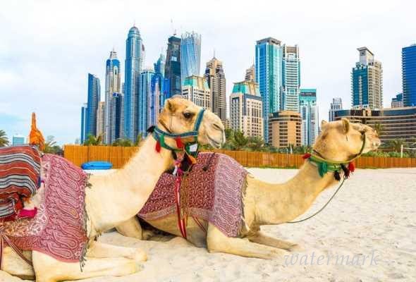 Отельеры ОАЭ заманивают путешественников скидками и бонусами