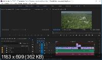 Adobe Premiere Pro CC 2017.1.2 11.1.2.22 RePack by D!akov
