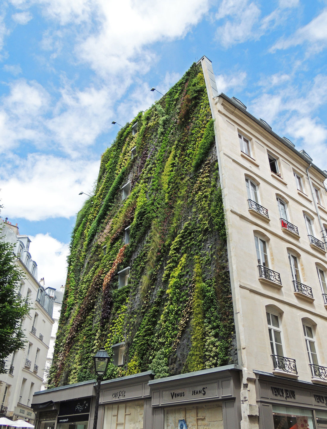 Взлёт в небо: великолепный вертикальный сад на стене здания