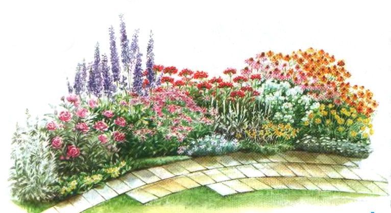 Дорожки — чудесные нити, объединяющие участки сада. как сделать их цветущими и нарядными?