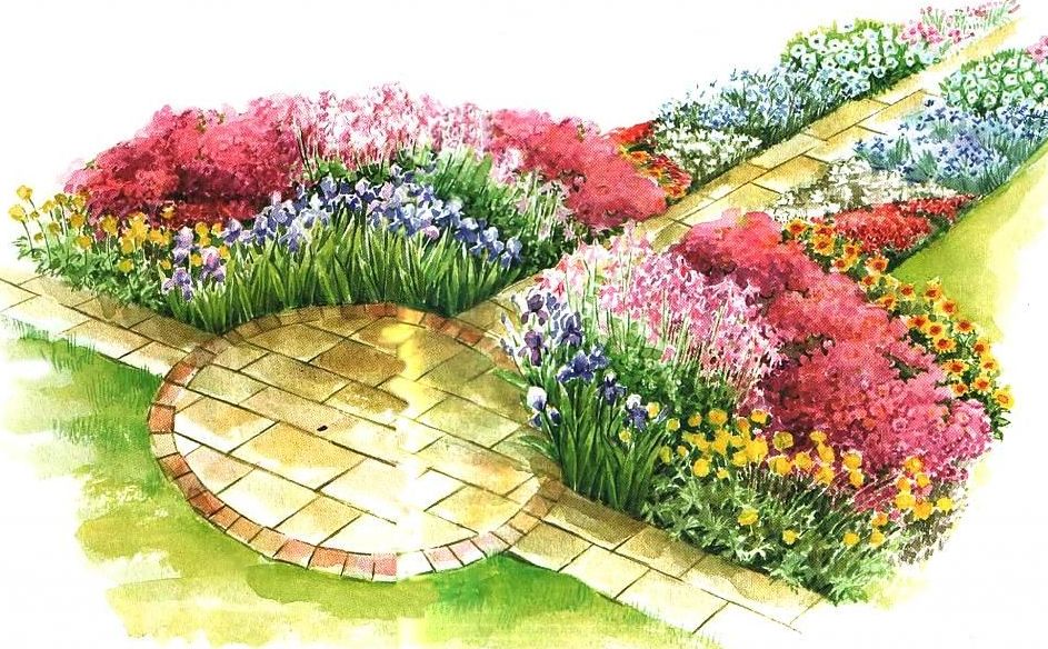 Дорожки — чудесные нити, объединяющие участки сада. как сделать их цветущими и нарядными?