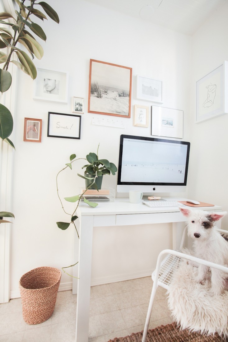 Интересный дизайн домашнего офиса: спокойная палитра и уютная обстановка