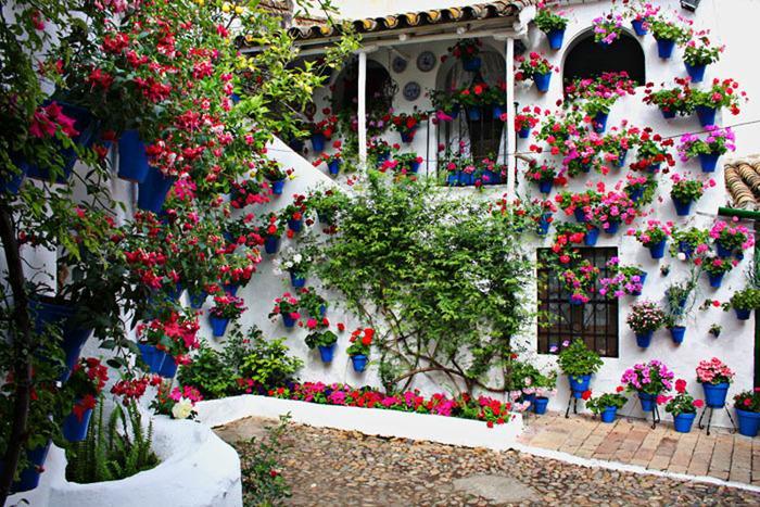 Весенний праздник цветов в кордове: традиционное великолепие внутренних двориков