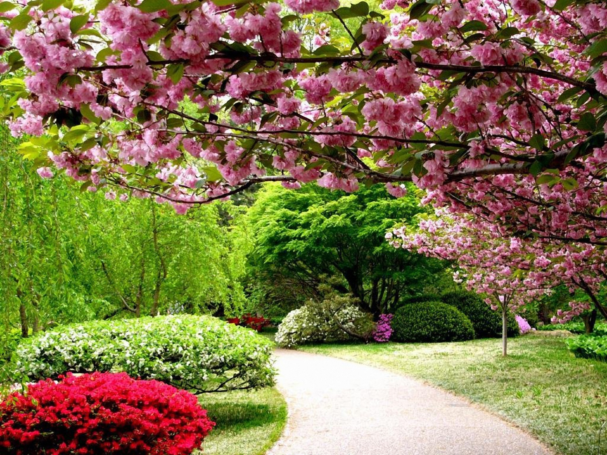 Великолепный ботанический сад в штате миссури (сша)