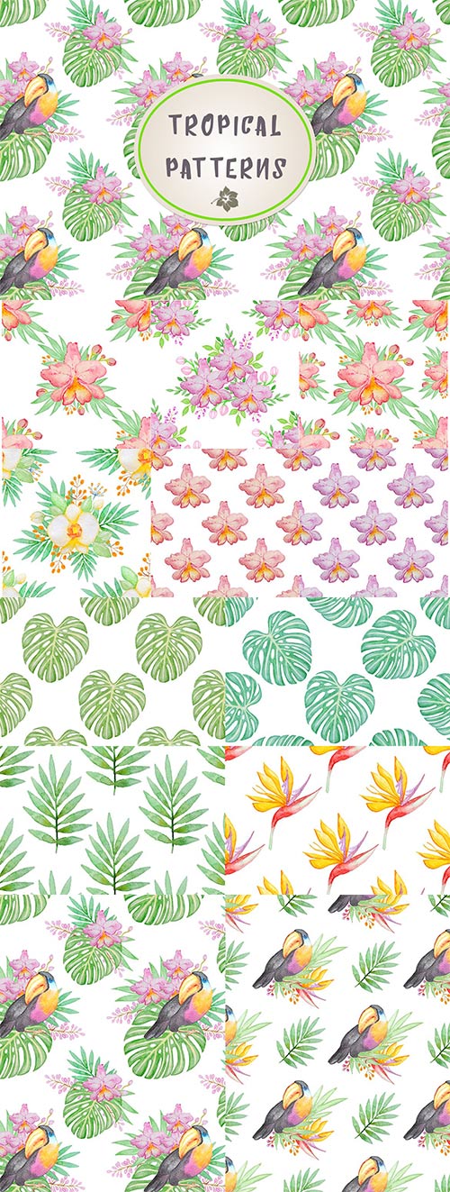 Set of Tropical Patterns