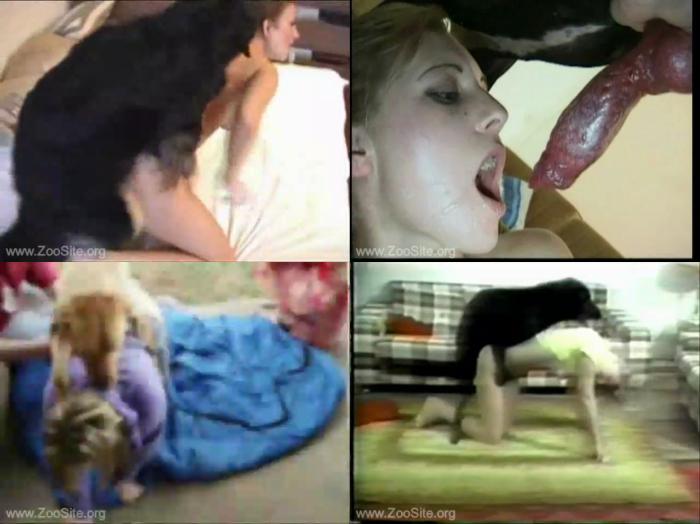 Porn compilation dog Dog porn